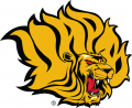 Arkansas-PB Golden Lions 2015-Pres Primary Logo Iron On Transfer