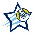 Tampa Bay Rays Baseball Goal Star logo Print Decal