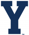 Brigham Young Cougars 2005-Pres Secondary Logo Print Decal