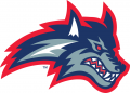 Stony Brook Seawolves 1998-2007 Secondary Logo Print Decal