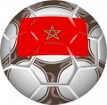 Soccer Logo 23 Iron On Transfer