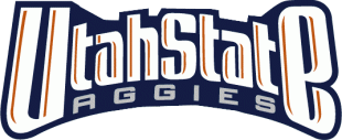 Utah State Aggies 1996-2011 Wordmark Logo Iron On Transfer