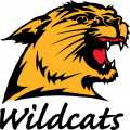 Northern Michigan Wildcats 1993-2015 Alternate Logo 02 Print Decal