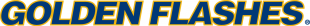 Kent State Golden Flashes 2000-Pres Wordmark Logo 01 Print Decal