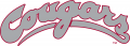 Washington State Cougars 1995-2010 Wordmark Logo Print Decal