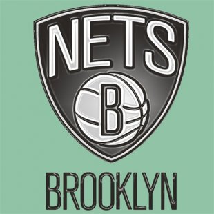 Brooklyn Nets Plastic Effect Logo Print Decal