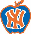 New York Knicks 1978-1979 Alternate Logo Print Decal