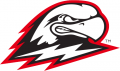 Southern Utah Thunderbirds 2019-Pres Primary Logo Print Decal