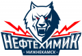 Neftekhimik Nizhnekamsk 2017-Pres Primary Logo Print Decal