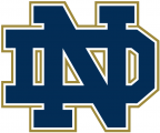 Notre Dame Fighting Irish 1994-Pres Alternate Logo 09 Print Decal