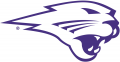 Northern Iowa Panthers 2002-2014 Partial Logo 01 Print Decal