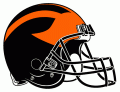 Princeton Tigers 1998-Pres Helmet Print Decal