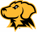 UMBC Retrievers 2010-Pres Alternate Logo 03 Print Decal