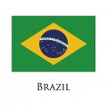 Brazil flag logo Iron On Transfer