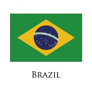 Brazil flag logo Print Decal