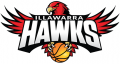 Illawarra Hawks 2015 16-Pres Primary Logo Print Decal