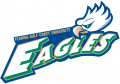 Florida Gulf Coast Eagles 2002-Pres Secondary Logo Iron On Transfer