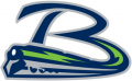 Bloomington Thunder 2014 15-Pres Secondary Logo Iron On Transfer