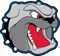 North CarolinaAsheville Bulldogs 1998-Pres Secondary Logo Print Decal