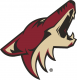 Arizona Coyotes