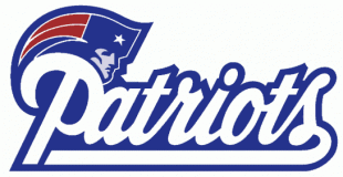 New England Patriots 1993-1999 Alternate Logo Iron On Transfer