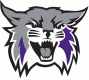 Weber State Wildcats