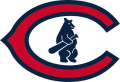 Chicago Cubs 1927-1936 Primary Logo Iron On Transfer