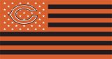 Chicago Bears Flag001 logo Print Decal