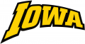 Iowa Hawkeyes 2002-Pres Wordmark Logo 03 Print Decal