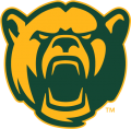 Baylor Bears 2005-2018 Alternate Logo 09 Iron On Transfer