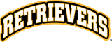 UMBC Retrievers 2010-Pres Wordmark Logo 03 Iron On Transfer