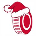 Detroit Red Wings Hockey ball Christmas hat logo Iron On Transfer