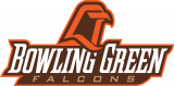 Bowling Green Falcons 1999-2005 Alternate Logo Iron On Transfer