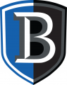 Bentley Falcons 2013-Pres Primary Logo Iron On Transfer