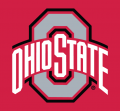 Ohio State Buckeyes 2013-Pres Alternate Logo 01 Print Decal