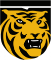 Colorado College Tigers 1978-Pres Primary Logo Print Decal