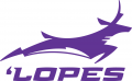 Grand Canyon Antelopes 2013-2014 Alternate Logo 02 Iron On Transfer