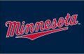 Minnesota Twins 2011-Pres Jersey Logo Print Decal