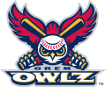 Orem Owlz 2005-Pres Primary Logo Iron On Transfer