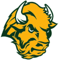 North Dakota State Bison 2005-2011 Alternate Logo 04 Iron On Transfer