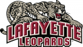 Lafayette Leopards 2000-2009 Primary Logo Print Decal