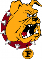 Ferris State Bulldogs 1993-2010 Primary Logo Iron On Transfer