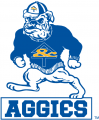 North Carolina A&T Aggies 1988-2005 Alternate Logo 02 Iron On Transfer