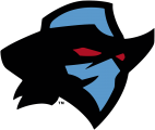 Dallas Renegades 2020-Pres Primary Logo Iron On Transfer