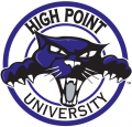 High Point Panthers 2004-2011 Alternate Logo 01 Print Decal