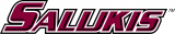 Southern Illinois Salukis 2001-2018 Wordmark Logo 04 Iron On Transfer