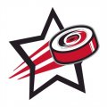 Carolina Hurricanes Hockey Goal Star logo Print Decal