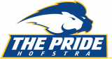 Hofstra Pride 2005-Pres Alternate Logo 02 Iron On Transfer