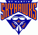 Tennessee-Martin Skyhawks 2003-2008 Primary Logo Iron On Transfer