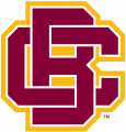 Bethune-Cookman Wildcats 2016-Pres Primary Logo Print Decal